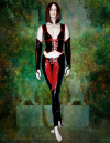 Blood Rayne pvc costume front image